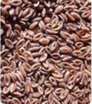 Psyllium Seeds Manufacturer Supplier Wholesale Exporter Importer Buyer Trader Retailer in sidhpur Gujarat India